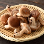 Shiitake - Imagen 2